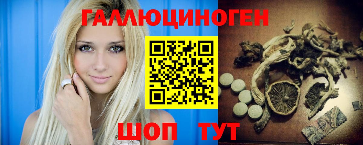 где можно купить   Вход с VPN  Псилоцибиновые грибы прущие грибы  Всеволожск  Псилоцибиновые грибы Cubensis 